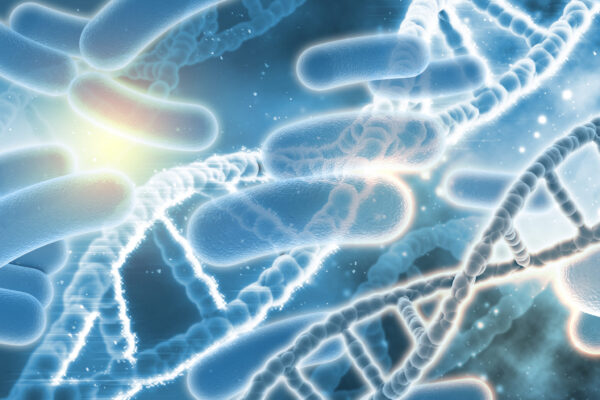 Microbiota oral você já ouviu falar Clínica Sergio Correia